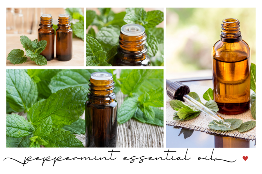 Refresh Your Senses with Peppermint Essential Oil: Nature’s Energy&nbsp;Booster!