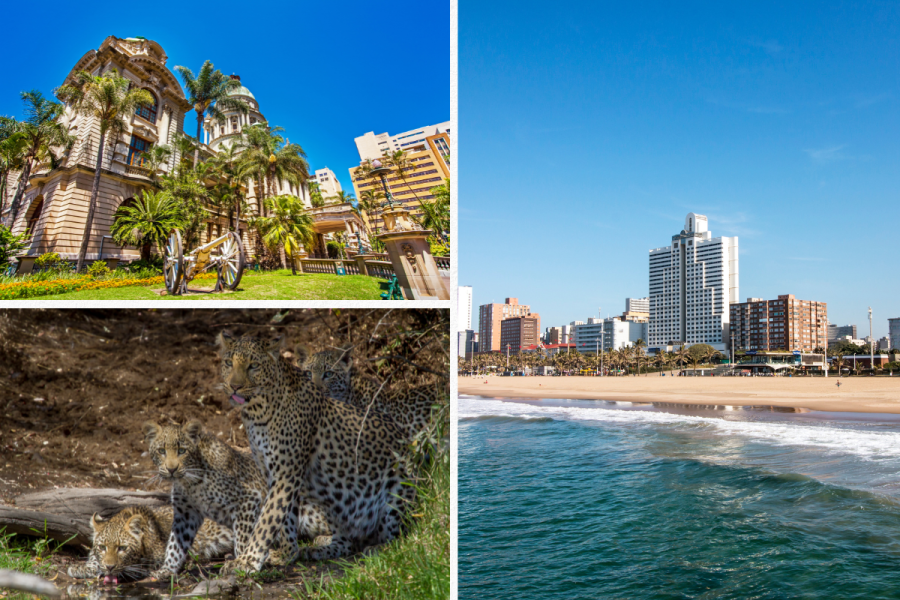Things to Do in Durban, South&nbsp;Africa