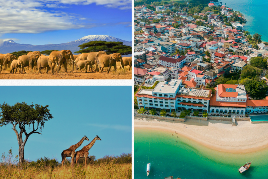 Exploring the Serengeti: A Guide to Witnessing the Great Wildebeest&nbsp;Migration